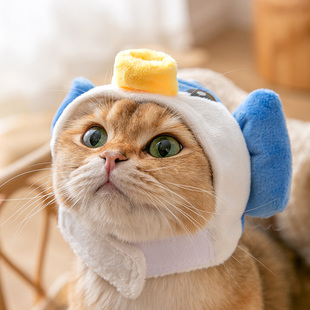 极速小猫咪头套帽子专用虎头帽宠物无毛猫可爱春季 布偶猫小猫时尚