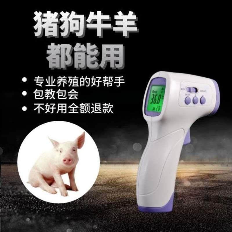 急速发货动物体温枪猪用高精度测量兽用体温表宠物猫猪羊温度计。 宠物/宠物食品及用品 体温计 原图主图