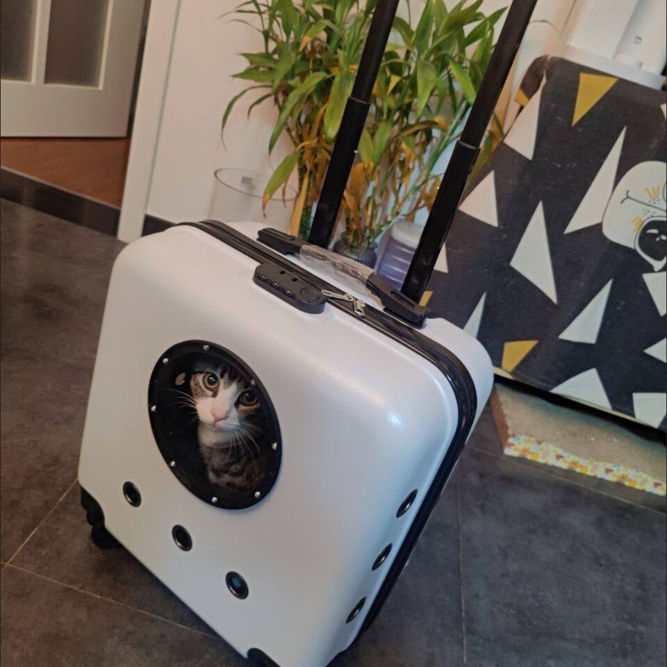 便携大容量硬壳宠物拉杆箱外出箱太空舱猫咪狗狗旅行箱猫包行李箱
