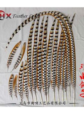 孙悟空俏花旦京剧戏曲京戏演出天然野鸡翎毛雉鸡羽长翎子山鸡毛