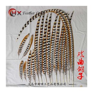 孙悟空俏花旦京剧戏曲京戏演出天然野鸡翎毛雉鸡羽长翎子山鸡毛