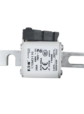 全新快速熔断器保险170M3073 170M3108 170M3109 170M3110