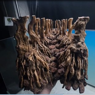 生态缸树桩骨架造景南美缸莫斯树树洞溪流缸拱桥摆件一木成景沉木