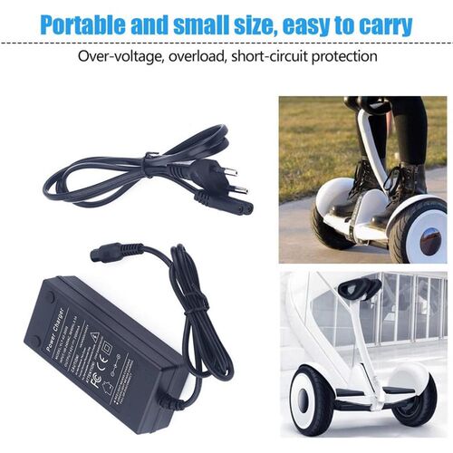 42V 2A Universal Battery Charger for Hoverboard Smart Balan