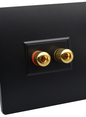 黑色双头音响面板开关插座一位音箱喇叭线墙壁P面板接线柱开关面