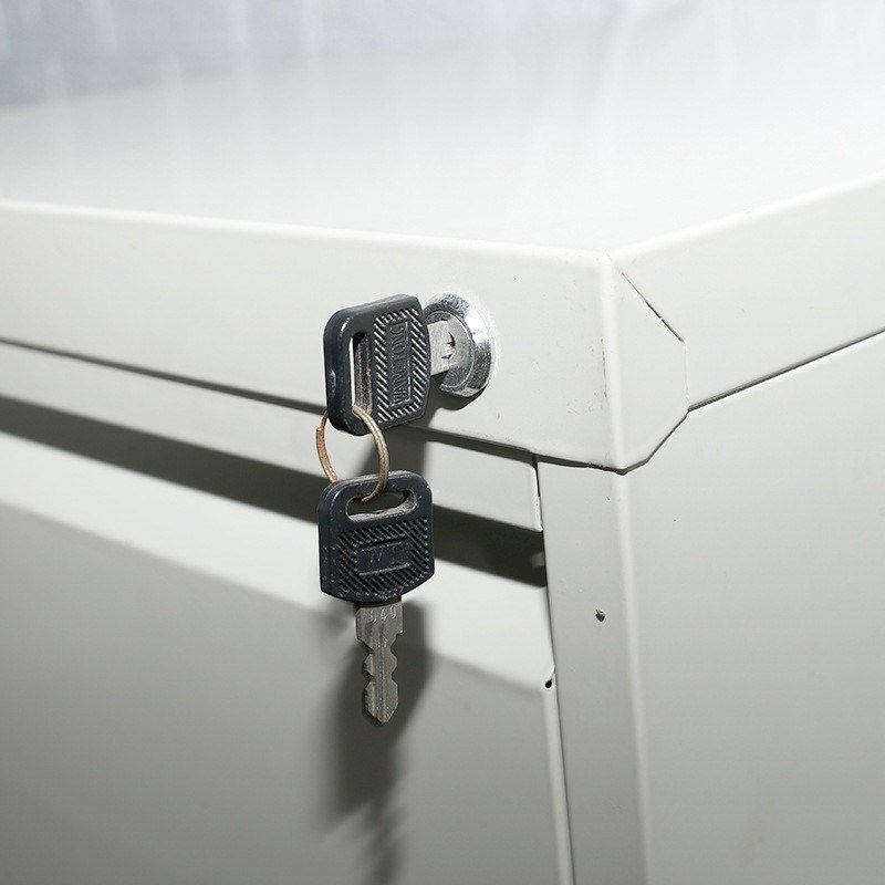 供应双层文件矮柜灰色档案文件双层柜冷轧钢板储物柜子规格可定,畜牧/养殖物资,特种养殖设备,淘宝优惠券,粉丝福利购,淘宝优惠卷