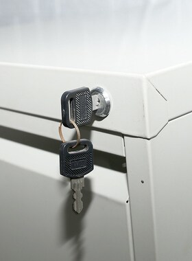 供应双层文件矮柜灰色档案文件双层柜冷轧钢板储物柜子规格可定