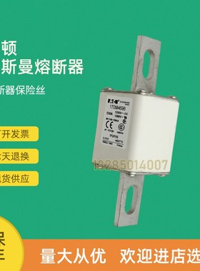 全新快速熔断器保险170M4690 170M4691 170M4692 170M4693