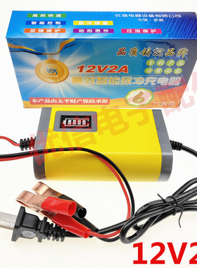 12V2A3A6A汽车摩托车电瓶车电瓶铅酸蓄电池充电器可充20AH-36AH60