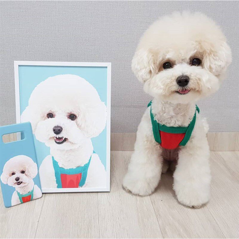 宠物素描彩铅画像定制 手绘猫咪狗狗爱犬动物画 萌宠画画铅笔画