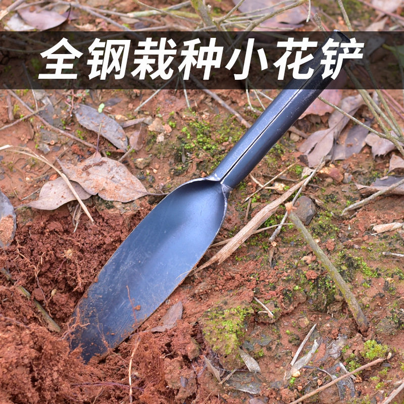 现货叶片小尖铲小花铲种菜小铁铲铁D柄铲子园林绿化盆栽松土园艺