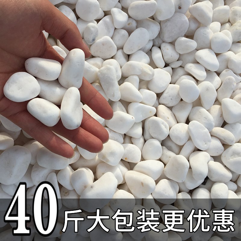 景观砾石天然白石子庭院铺路铺地鹅卵石白色石子颗粒小白石头造景