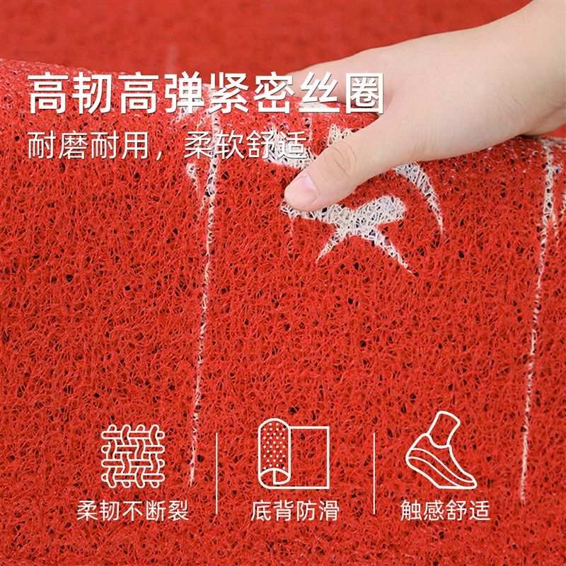 丝圈地垫入户门商用酒店大门口迎宾垫子门外欢迎光临门垫定制logo,居家布艺,入户地垫,淘宝优惠券,粉丝福利购,淘宝优惠卷