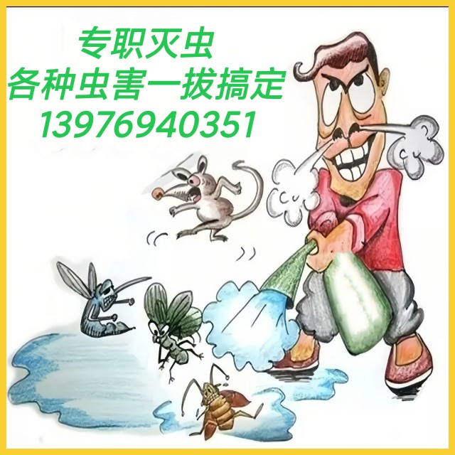 推荐海南海口上门除虫除白蚁服务  上门灭白蚁防治服务专业除白蚁