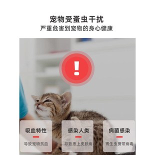 猫圈狗圈除跳蚤防虱子猫咪小狗狗除蚤项圈宠物体外驱虫环圈跳蚤圈