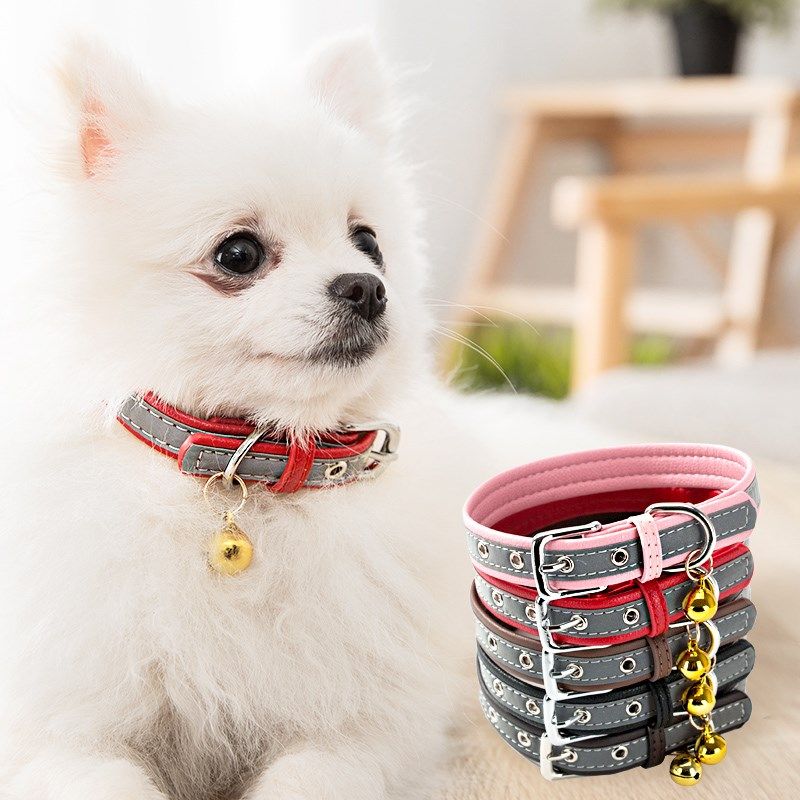 狗狗项圈中型犬小型犬狗狗铃铛狗牌定制泰迪项圈猫牌宠物狗狗用品,宠物/宠物食品及用品,项圈/肩带,淘宝优惠券,粉丝福利购,淘宝优惠卷