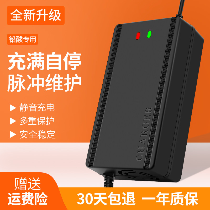 适用新蕾电动车充电器电瓶车48V12A60V20A72V30a新国标小公插通用