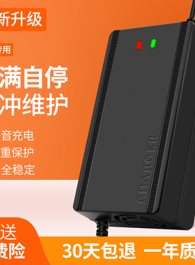 适用新蕾电动车充电器电瓶车48V12A60V20A72V30a新国标小公插通用
