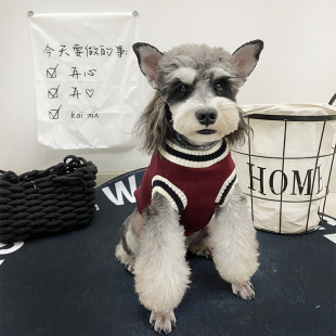 宠物加绒潮牌泰迪雪纳瑞衣服狗狗学院风毛衣猫咪猫猫 推荐 秋冬新款