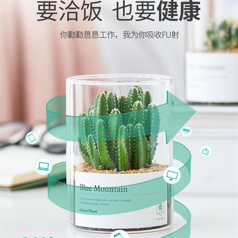 多肉植物仙人掌仙人球小盆栽肉肉办公室内桌面绿植花卉仙人球摆件