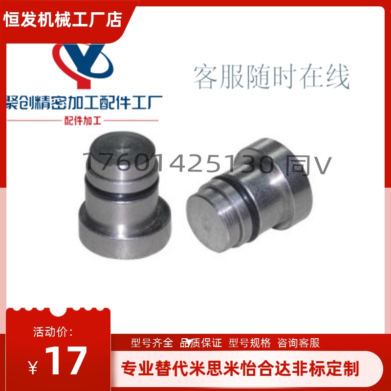 直线导轨用定位销LLT3.5 LLT5 LLTS5偏心销ICE11-T5不锈钢轴效直