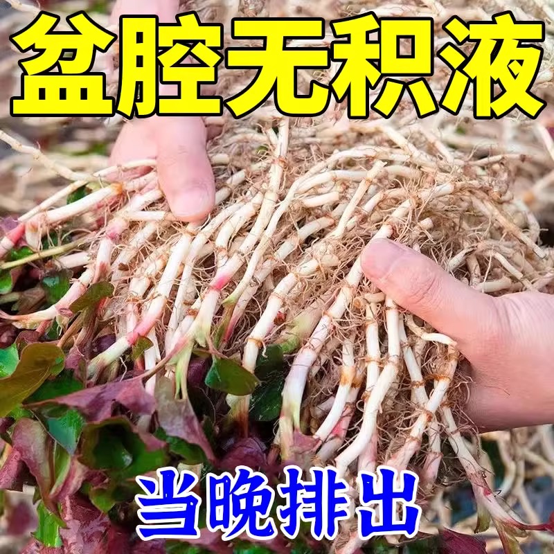 推荐治疗盆腔积液的药输卵- 管堵塞...