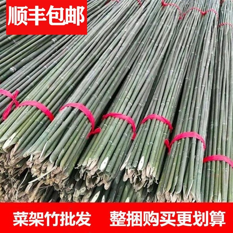 小竹竿菜园搭架细竹子豆r角番茄黄瓜葡萄蔬菜爬藤架篱笆栅栏23竹
