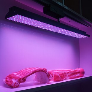 導軌道LED長條生鮮燈豬肉商場超市水果專用市場照肉冷鮮超亮吊燈