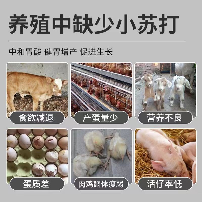 兽用小苏打猪牛羊狗鸡鸭鹅养殖用饲料添加剂调节胃酸碳酸氢钠健胃
