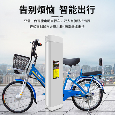 新品创赢电动自行车48v60V洋铃众德森三隆东进Y远喜仕达电瓶