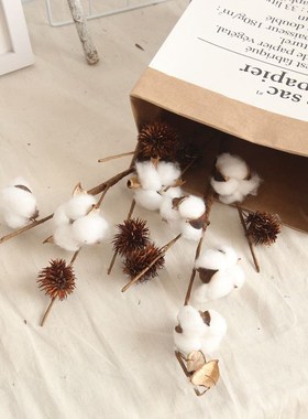 花INS风4头棉花枝厂家干花家居装饰婚庆路引花墙假花MW61180