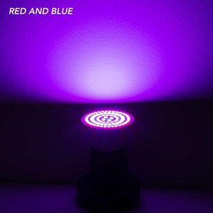 E27 Greenhouse LED Light Grow Tent E14 Hydroponics G10 Plant