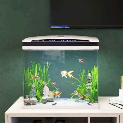桌面自循环家用生态玻璃免换水全自动智能L恒温鱼缸水族箱客厅小