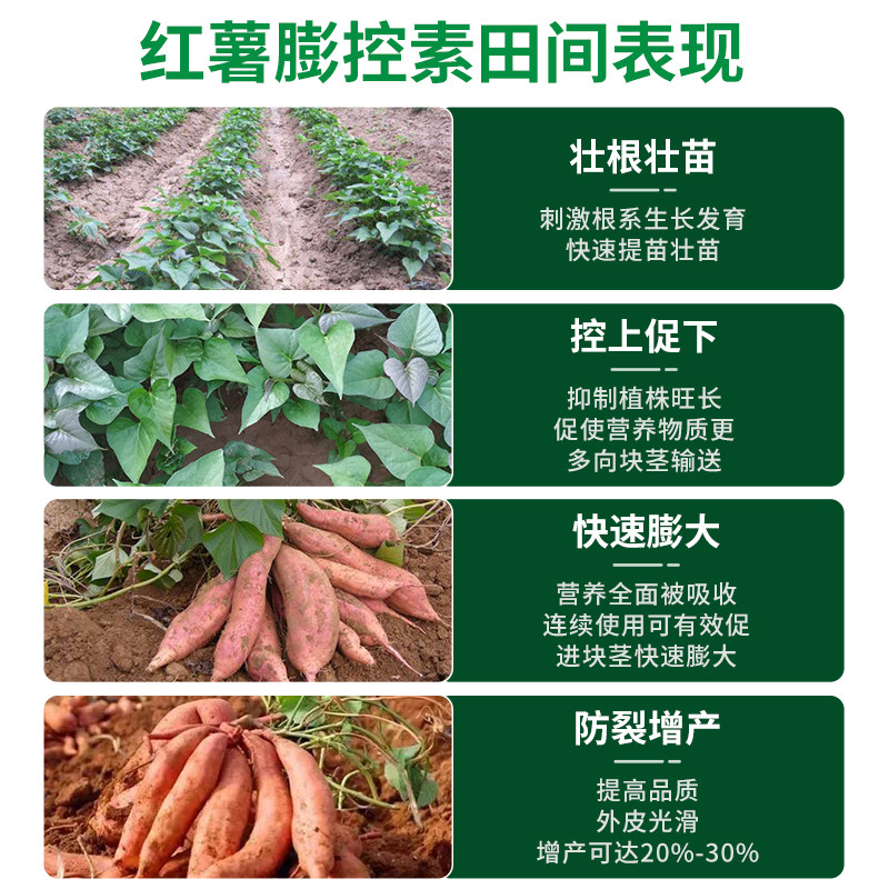 红薯专用肥肥料控旺根茎膨大素剂叶面肥地瓜甘薯马铃薯复合肥农用