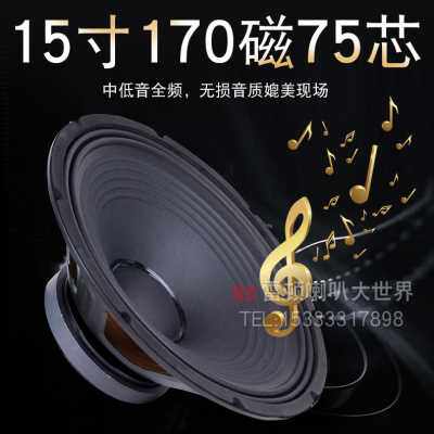 爆品15寸喇叭雷顿喇叭170磁755芯350W铁盆中低音大功率喇叭演出婚