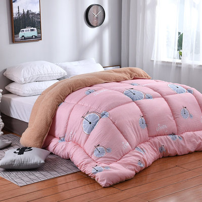 Winter Super Warm Flannel ComfAorter Duvet Quilt Blanket bed