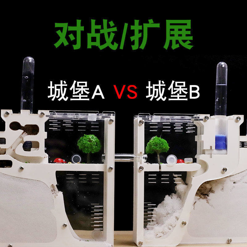 蚂蚁生态箱超大繁殖版蚂蚁工坊城堡别墅l对战观察学生科教送蚁后