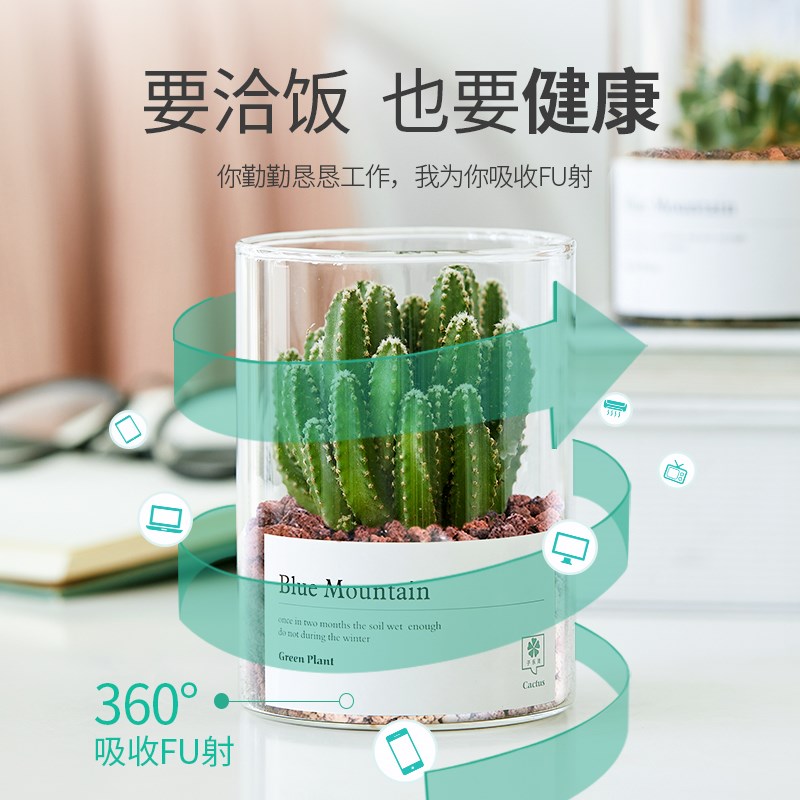 多肉植物仙人掌仙人球盆栽肉肉办公室内桌面绿植小盆栽