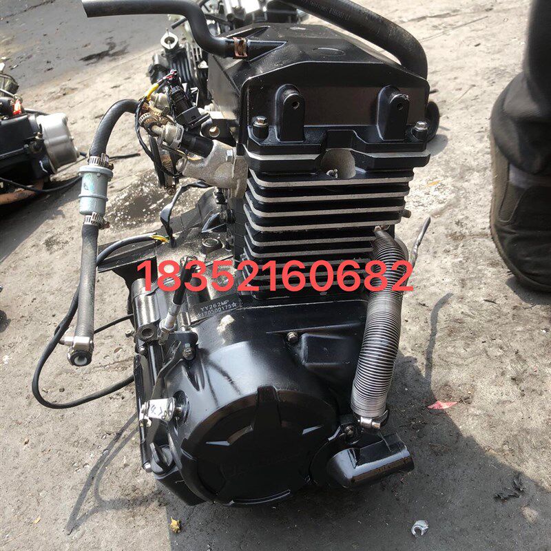 大地鹰王250/350维森克400 地平线小忍者永源双缸水冷发动机