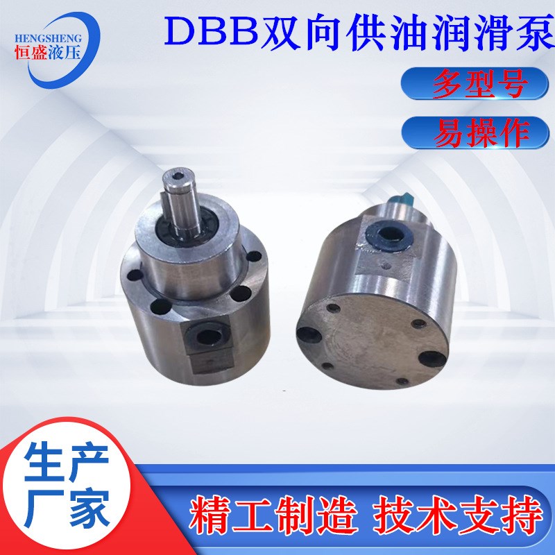 双向油泵DBB-2.5 4 DBB-28 6 20 10 DBB-60数控机床润滑齿轮油泵