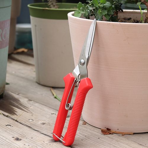 佐川田910园林耐用园艺剪刀修枝剪剪果树花艺剪子剪树枝专用剪刀