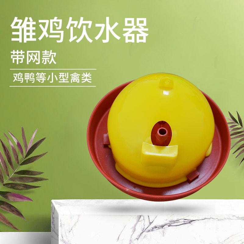 速发育雏鸡自动饮水器 养鸡设备 小鸡育雏专用 养殖设备 兽用器械