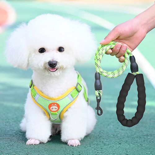 狗狗牵引绳背心式幼犬小型犬胸背带比熊泰迪博美遛狗绳小狗链子