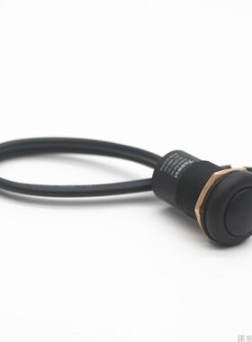 黑色带线水下按g钮开关/自锁/复位防水开关/IP67 4A 250V/户外开