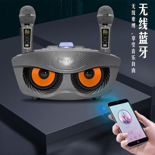 SD306PS升级版猫头鹰家庭KTVC无线麦克风蓝牙音响一体机双人合唱
