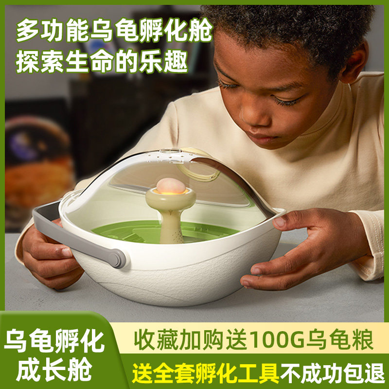 速发乌龟蛋可孵化成长仓活物爬台晒台专用乌龟缸宠物饲养箱小龟别