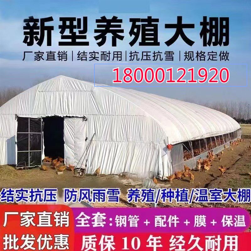 小众高货养殖大棚骨架养鸡场猪舍牛棚羊圈保温棚户外钢管钢架养猪