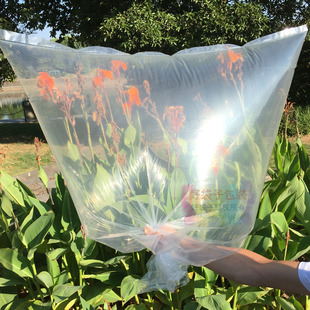 pe袋平口袋透明袋韧性塑料袋 服装袋60*70 6丝 熟料袋电器包装袋