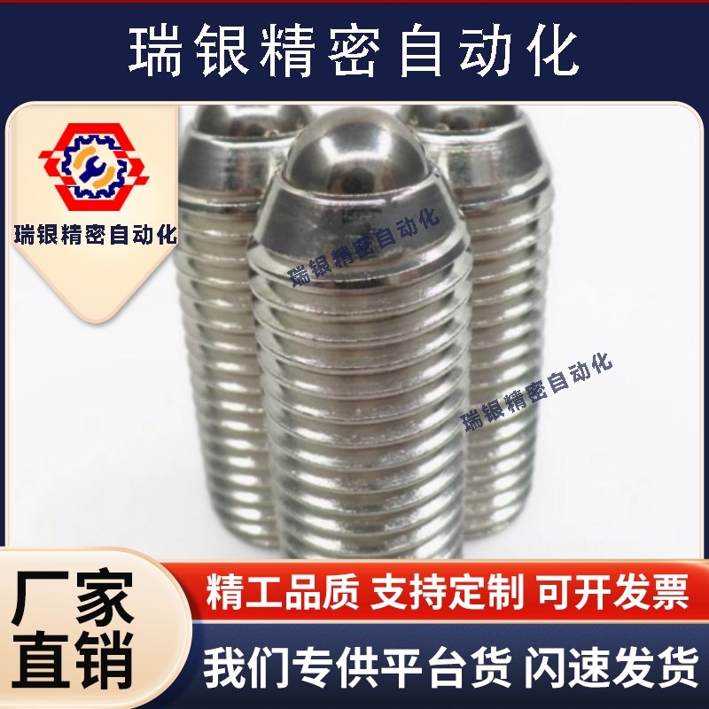 不锈钢球头柱塞BMS/BSM3/4/5/6/8/10/12/16替代替