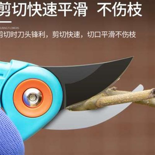 代代发家用剪枝果树修枝剪刀园艺修枝剪园林省力花艺工具修花枝剪
